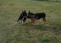 bella-and-tye-nov-09-1.jpg (65745 bytes)