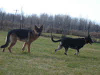 bella-and-tye-nov-09-3.jpg (147888 bytes)