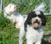 charlotte-and-bristol-oct-09-2.jpg (89413 bytes)