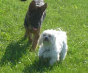 charlotte-and-bristol-oct-09-3.jpg (76068 bytes)