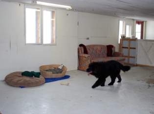 Sammy in the 'Rec' area