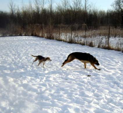 kandahar with friend Toby