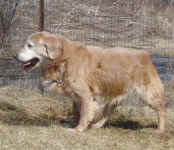 12 year old Zachary, during his March break visit