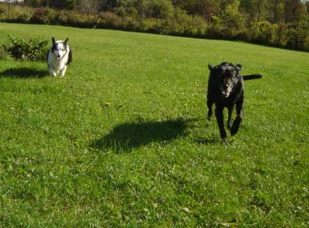 Zeena (left) & Pepepr (right)