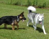 Suka and new friend Winston